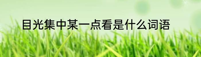 目光集中某一点看是什么词语