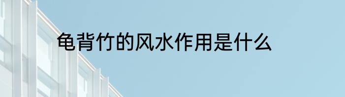 龟背竹的风水作用是什么