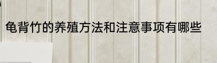龟背竹的养殖方法和注意事项有哪些