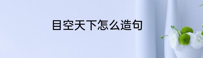 目空天下怎么造句