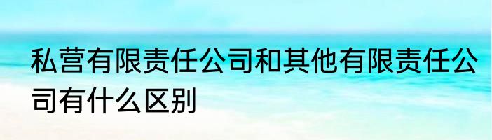 私营有限责任公司和其他有限责任公司有什么区别