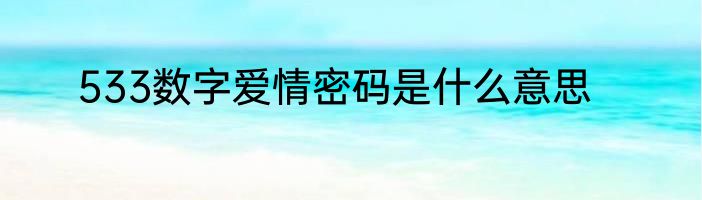 533数字爱情密码是什么意思
