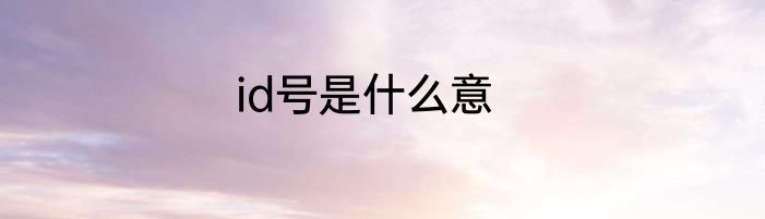 id号是什么意