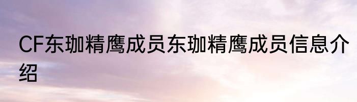 CF东珈精鹰成员东珈精鹰成员信息介绍