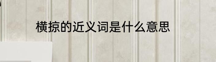横掠的近义词是什么意思