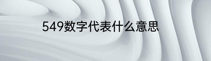 549数字代表什么意思