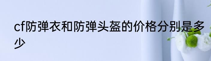 cf防弹衣和防弹头盔的价格分别是多少