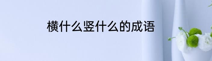 横什么竖什么的成语