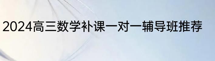 2024高三数学补课一对一辅导班推荐