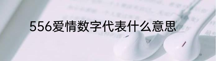 556爱情数字代表什么意思