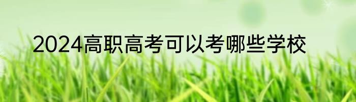 2024高职高考可以考哪些学校