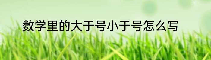 数学里的大于号小于号怎么写