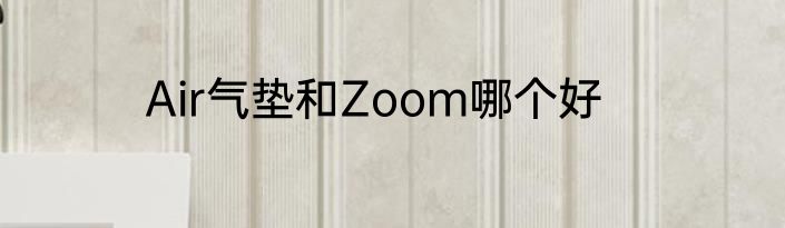 Air气垫和Zoom哪个好