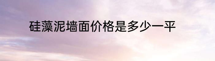 硅藻泥墙面价格是多少一平