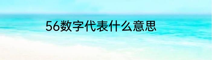 56数字代表什么意思