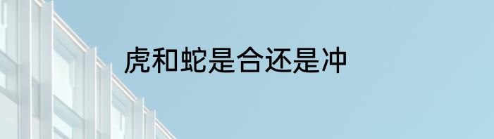 虎和蛇是合还是冲