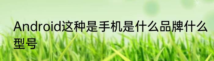 Android这种是手机是什么品牌什么型号