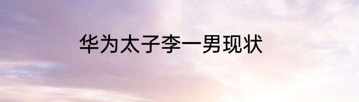 华为太子李一男现状