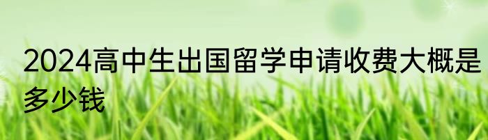 2024高中生出国留学申请收费大概是多少钱