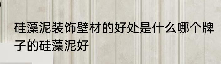 硅藻泥装饰壁材的好处是什么哪个牌子的硅藻泥好