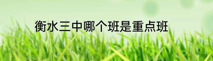 衡水三中哪个班是重点班