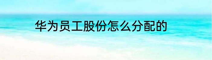 华为员工股份怎么分配的