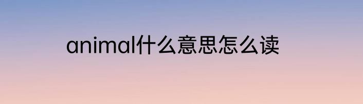 animal什么意思怎么读