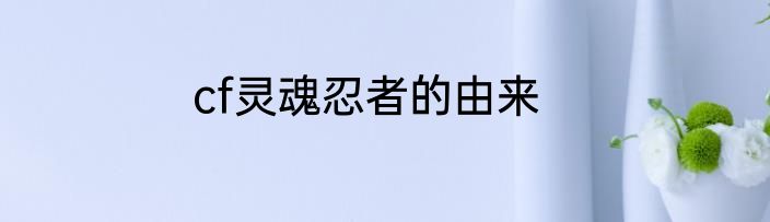 cf灵魂忍者的由来