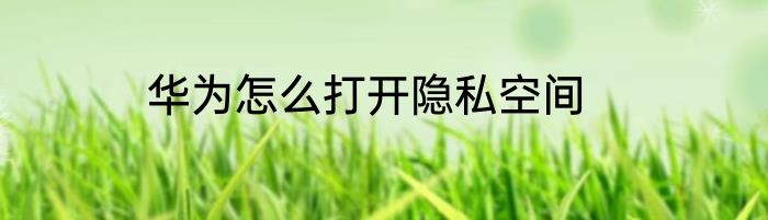 华为怎么打开隐私空间