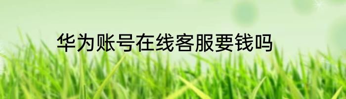华为账号在线客服要钱吗