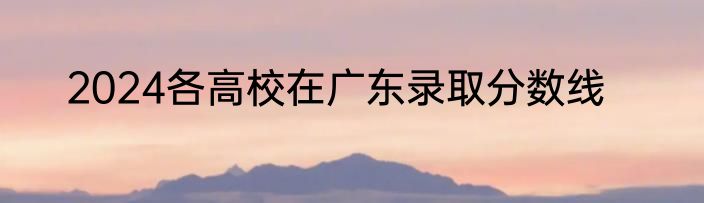 2024各高校在广东录取分数线