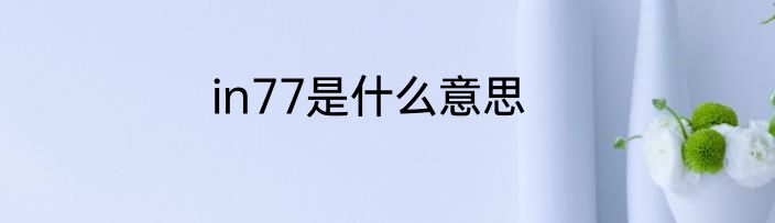 in77是什么意思