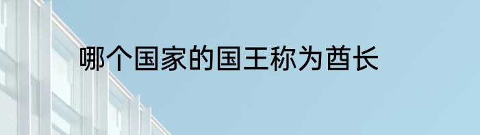 哪个国家的国王称为酋长