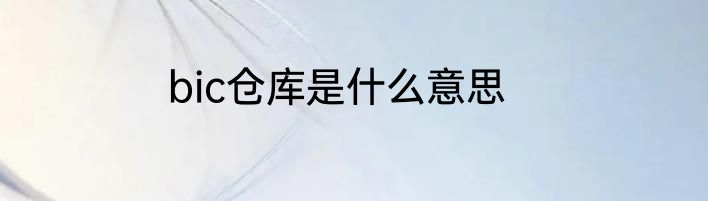 bic仓库是什么意思