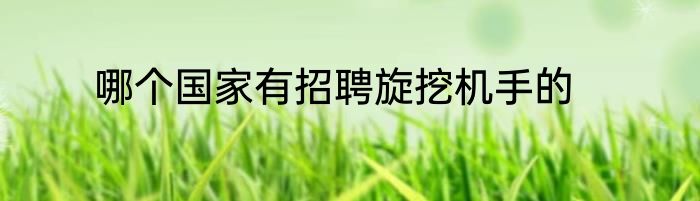 哪个国家有招聘旋挖机手的