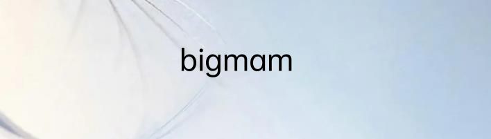 bigmam