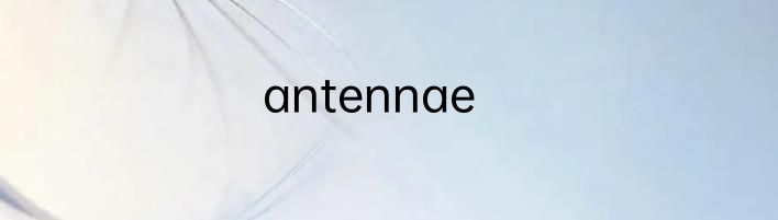antennae