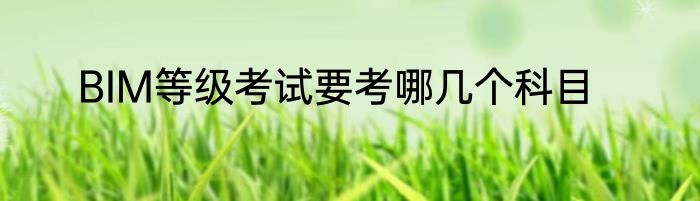 BIM等级考试要考哪几个科目