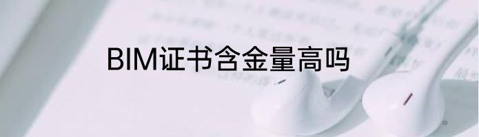 BIM证书含金量高吗