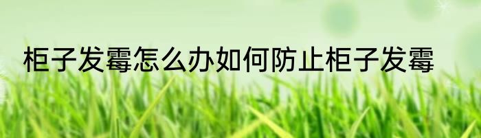 柜子发霉怎么办如何防止柜子发霉