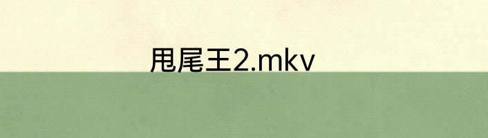 甩尾王2.mkv