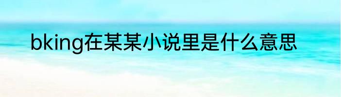 bking在某某小说里是什么意思