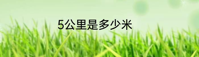 5公里是多少米
