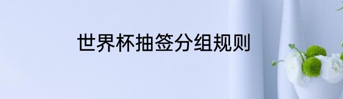 世界杯抽签分组规则