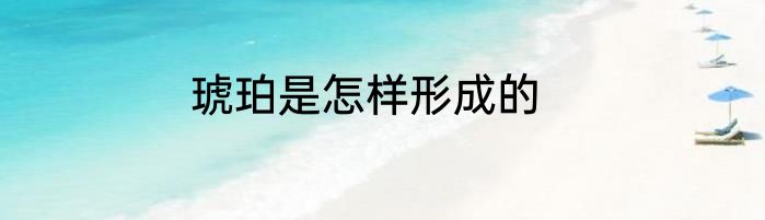 琥珀是怎样形成的