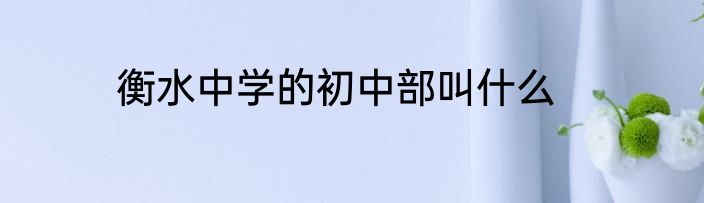 衡水中学的初中部叫什么