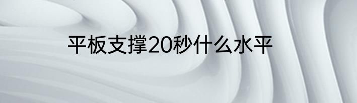 平板支撑20秒什么水平