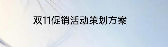 双11促销活动策划方案