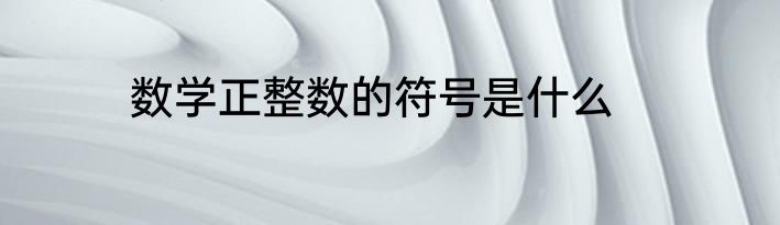 数学正整数的符号是什么