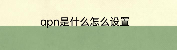 apn是什么怎么设置